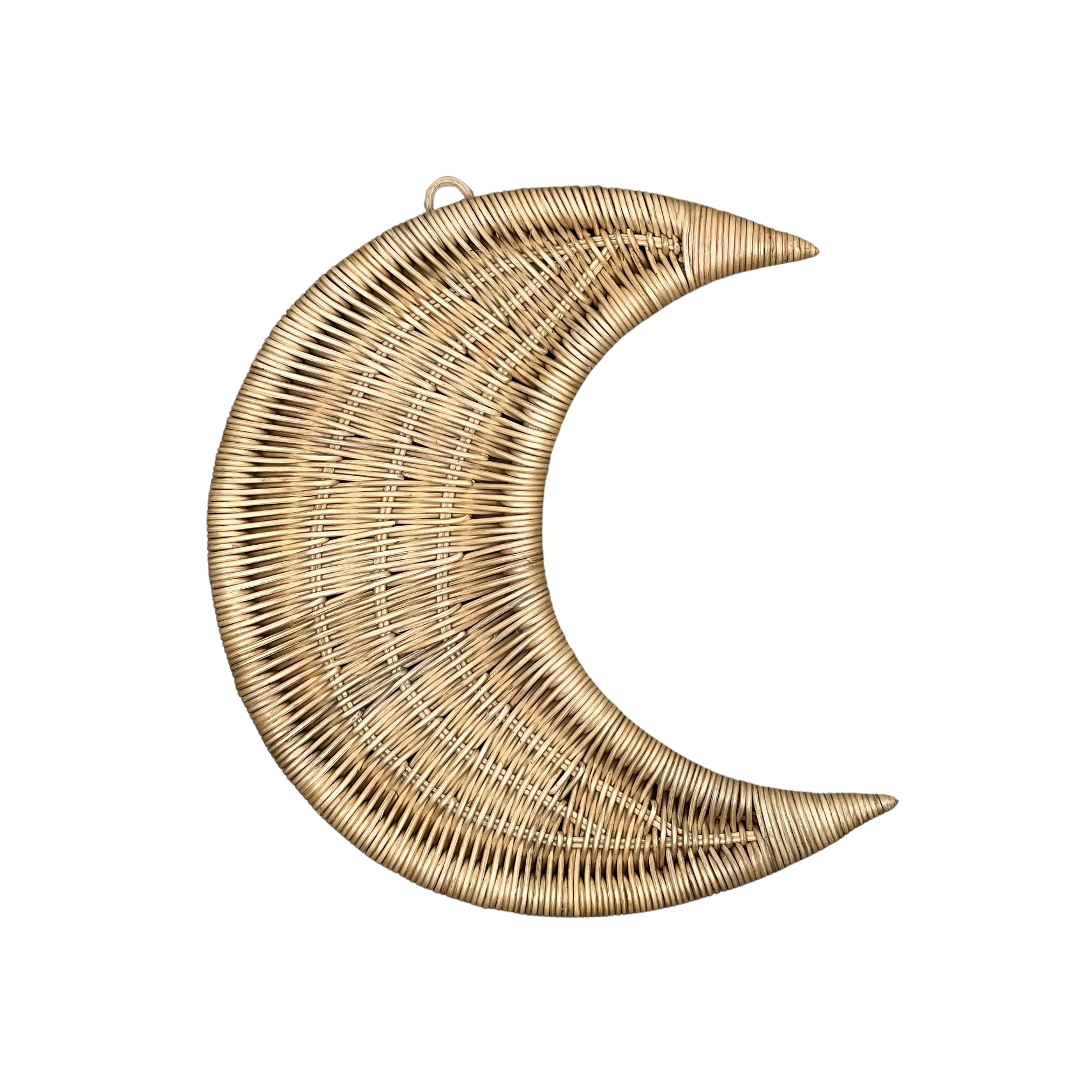 The Moon