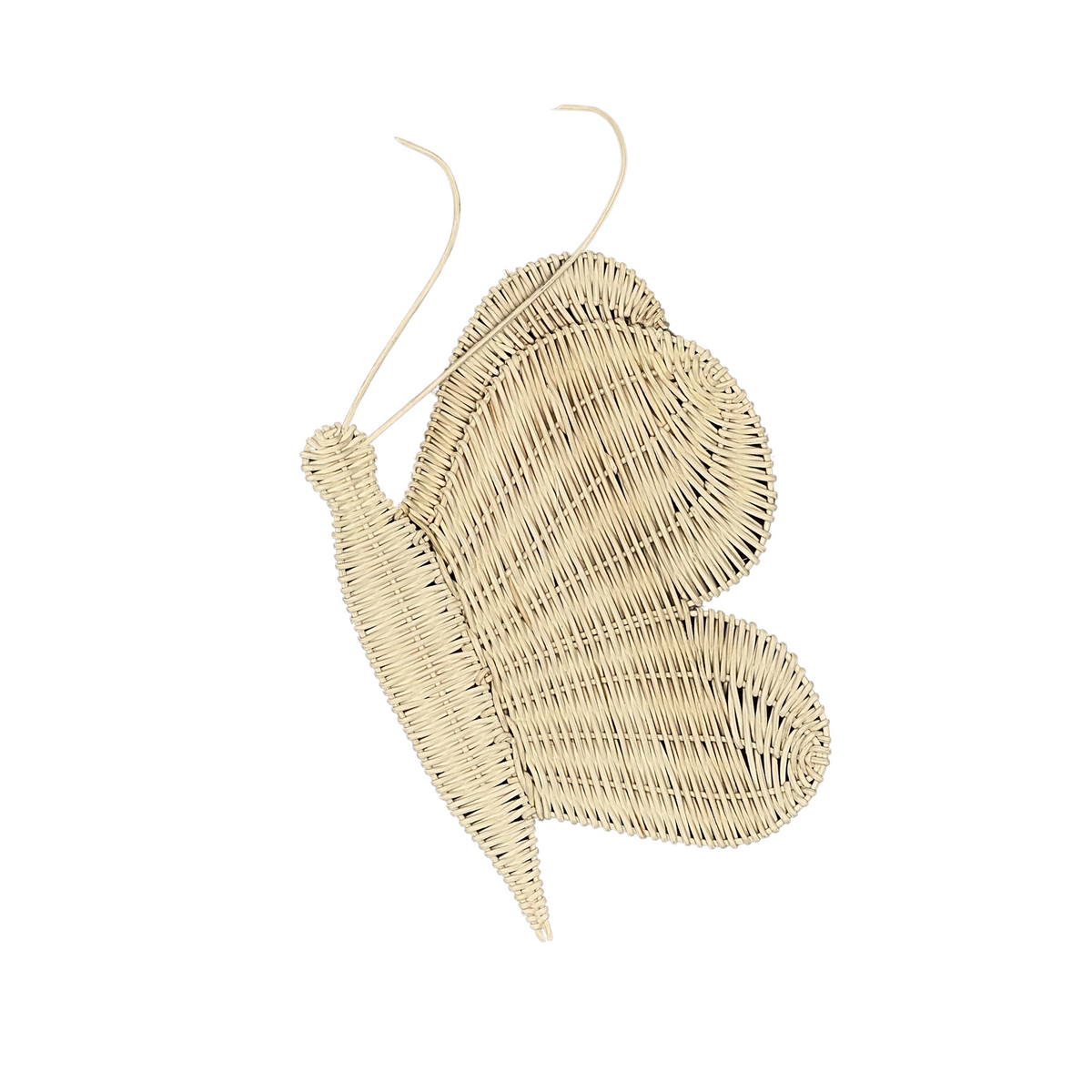 The Butterfly