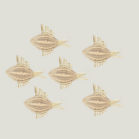 The Fish - School - Taupe